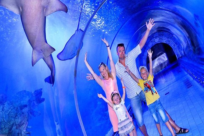 Hurghada Büyük Akvaryum Giriş Bilet ve Turu